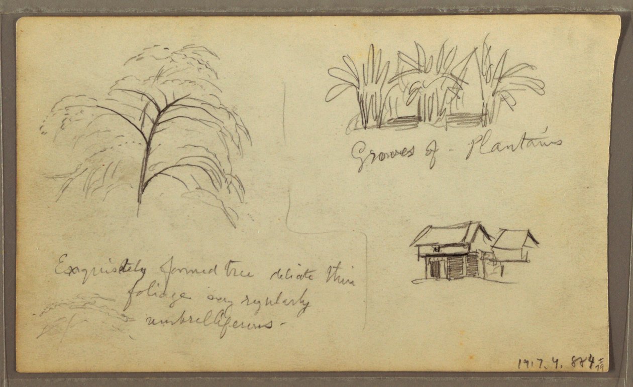 Desenho, esquina de rua em Guaquil, Equador; Verso: Esboços botânicos, casa, Equador ou Colômbia, 1857 de Frederic Edwin Church