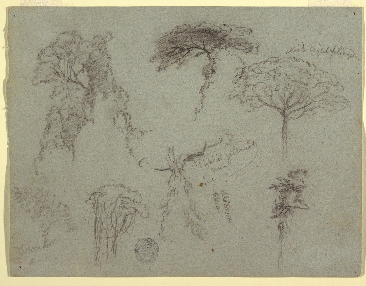 Desenho, Estudos de árvores, Equador, 1853 de Frederic Edwin Church