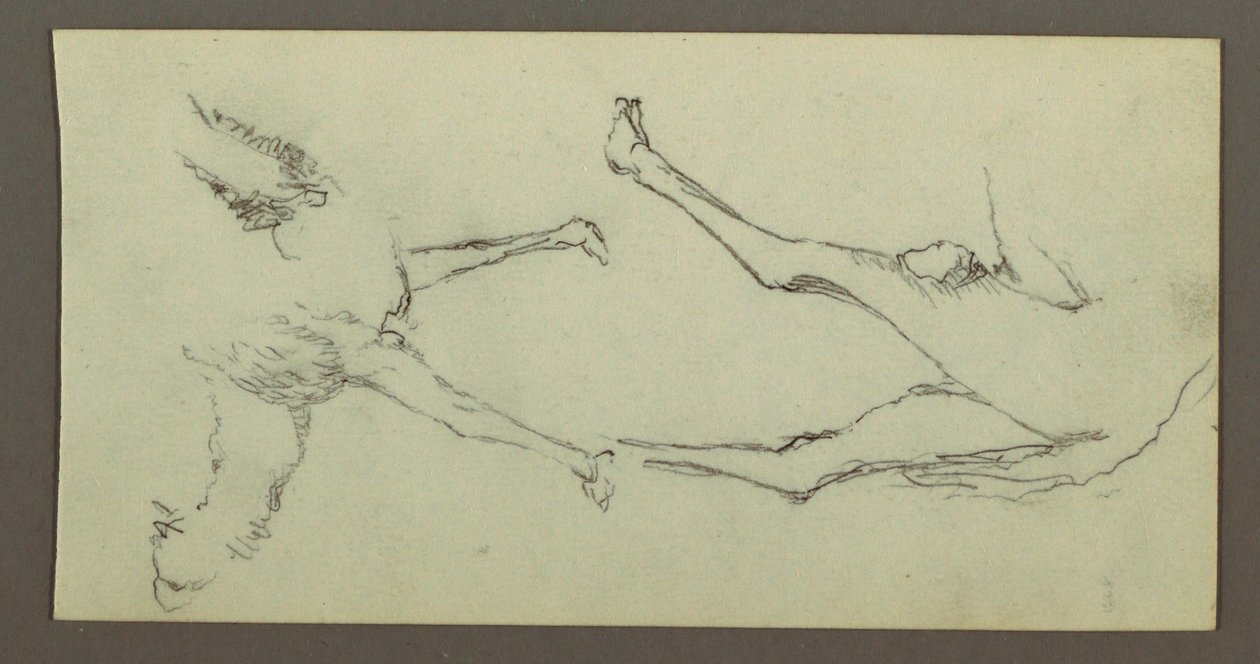 Desenho, Estudo das patas de camelo, possivelmente 1868 de Frederic Edwin Church