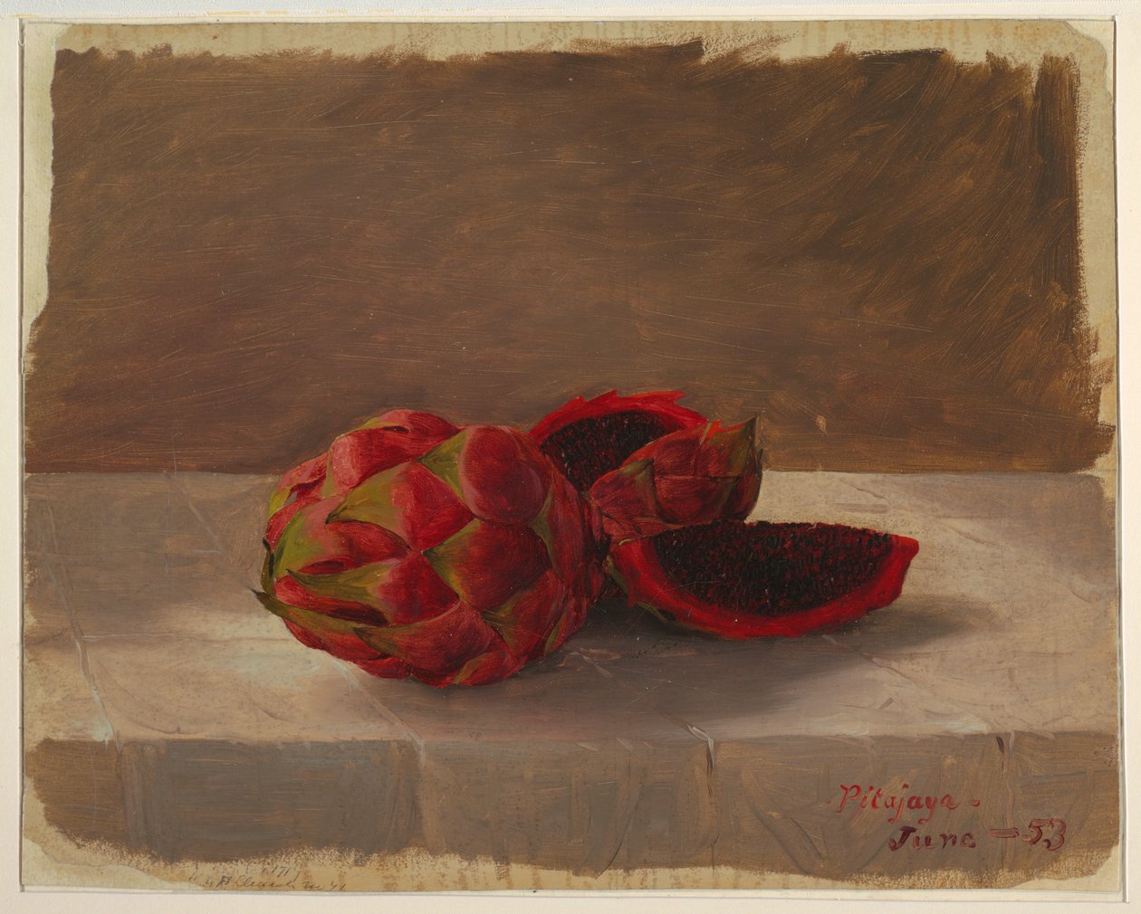 Desenho, O fruto de Pitajaya, Colômbia, junho de 1853 de Frederic Edwin Church