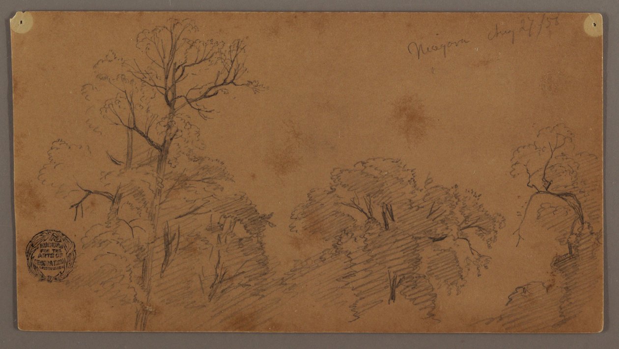 Desenho, copas das árvores, Niagara, 27 de agosto de 1856 de Frederic Edwin Church