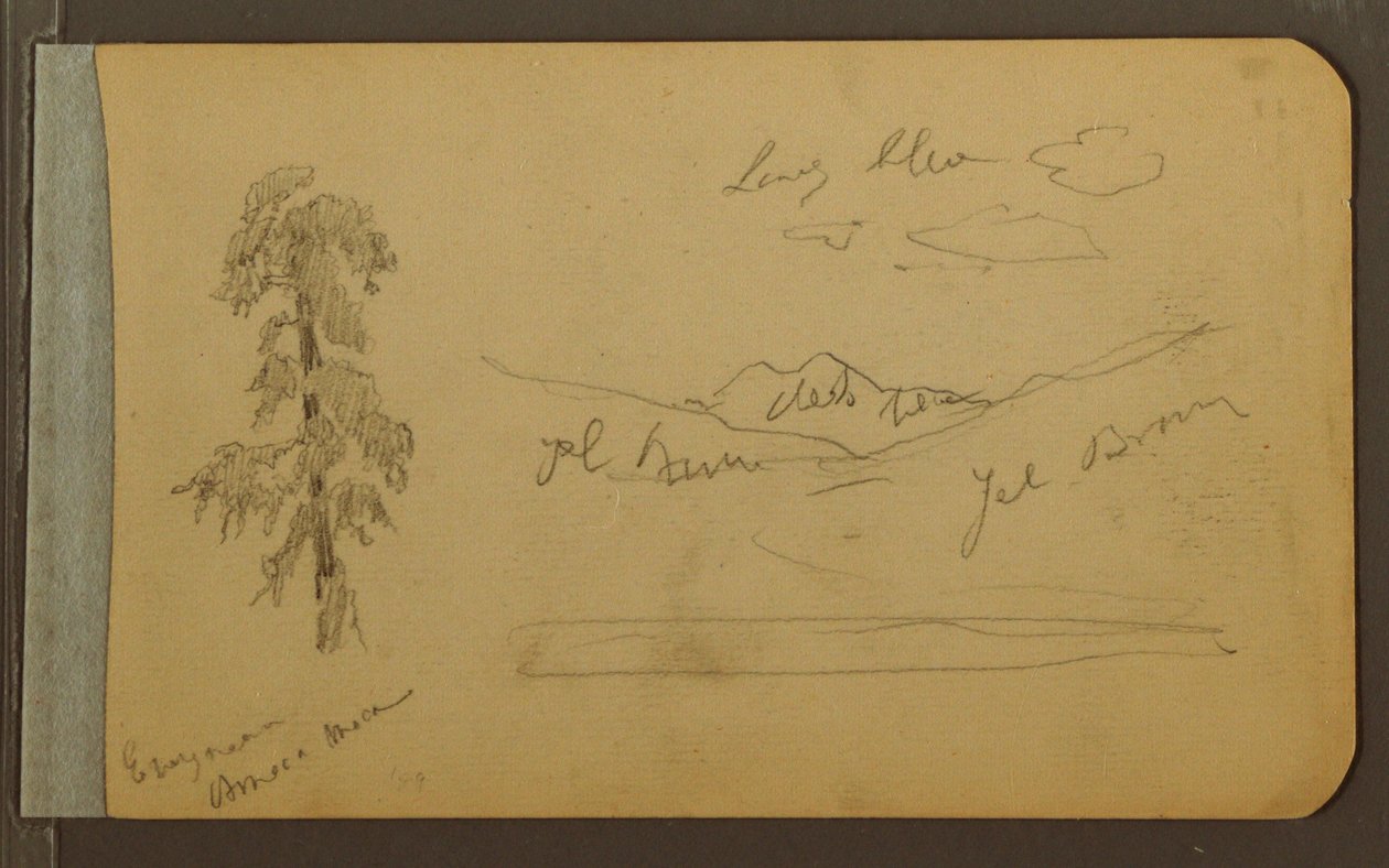Desenho, Árvore, montanhas, 1889 de Frederic Edwin Church