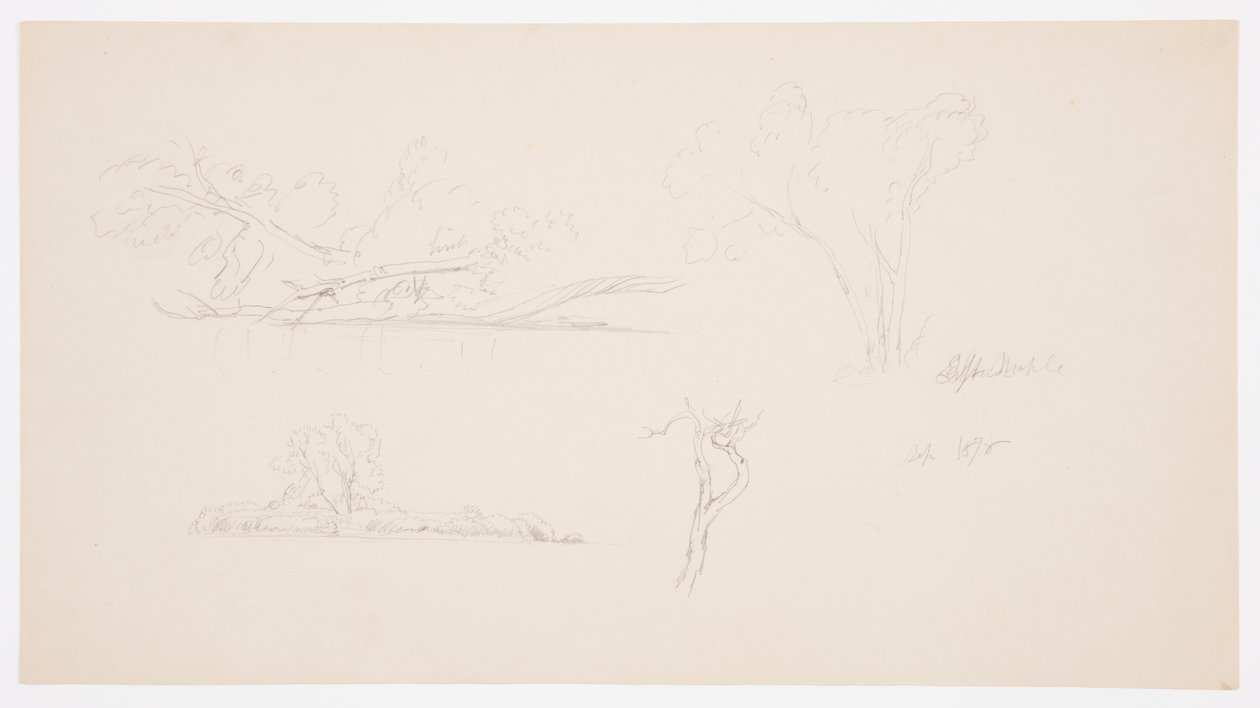 Desenho, Árvores, uma margem com arbustos e árvores, setembro de 1876 de Frederic Edwin Church