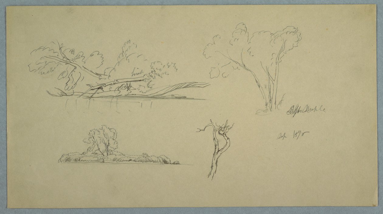 Desenho, Árvores, uma margem com arbustos e árvores, setembro de 1876 de Frederic Edwin Church