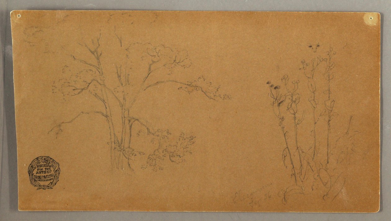 Desenho, Árvores e plantas, Elecampene, setembro de 1856 de Frederic Edwin Church
