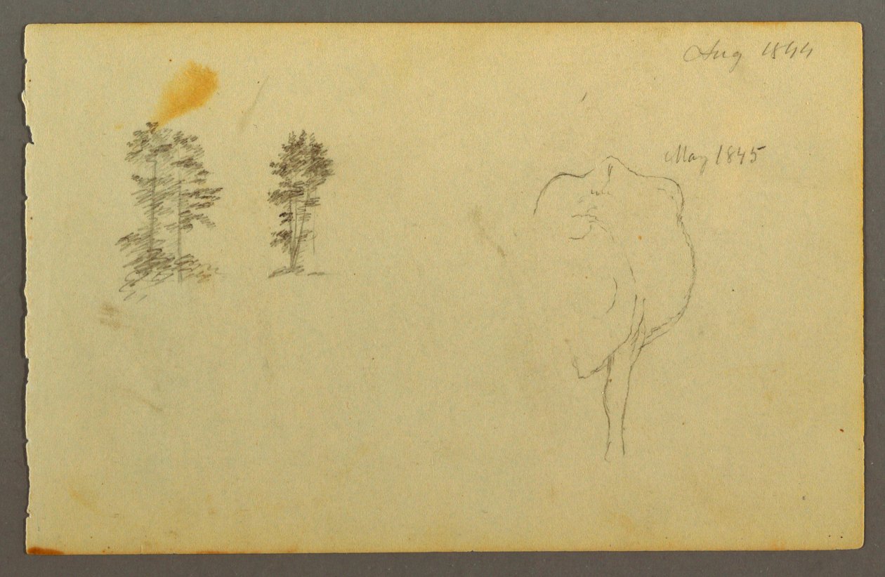 Desenho, Árvores, vaca, 1844 de Frederic Edwin Church