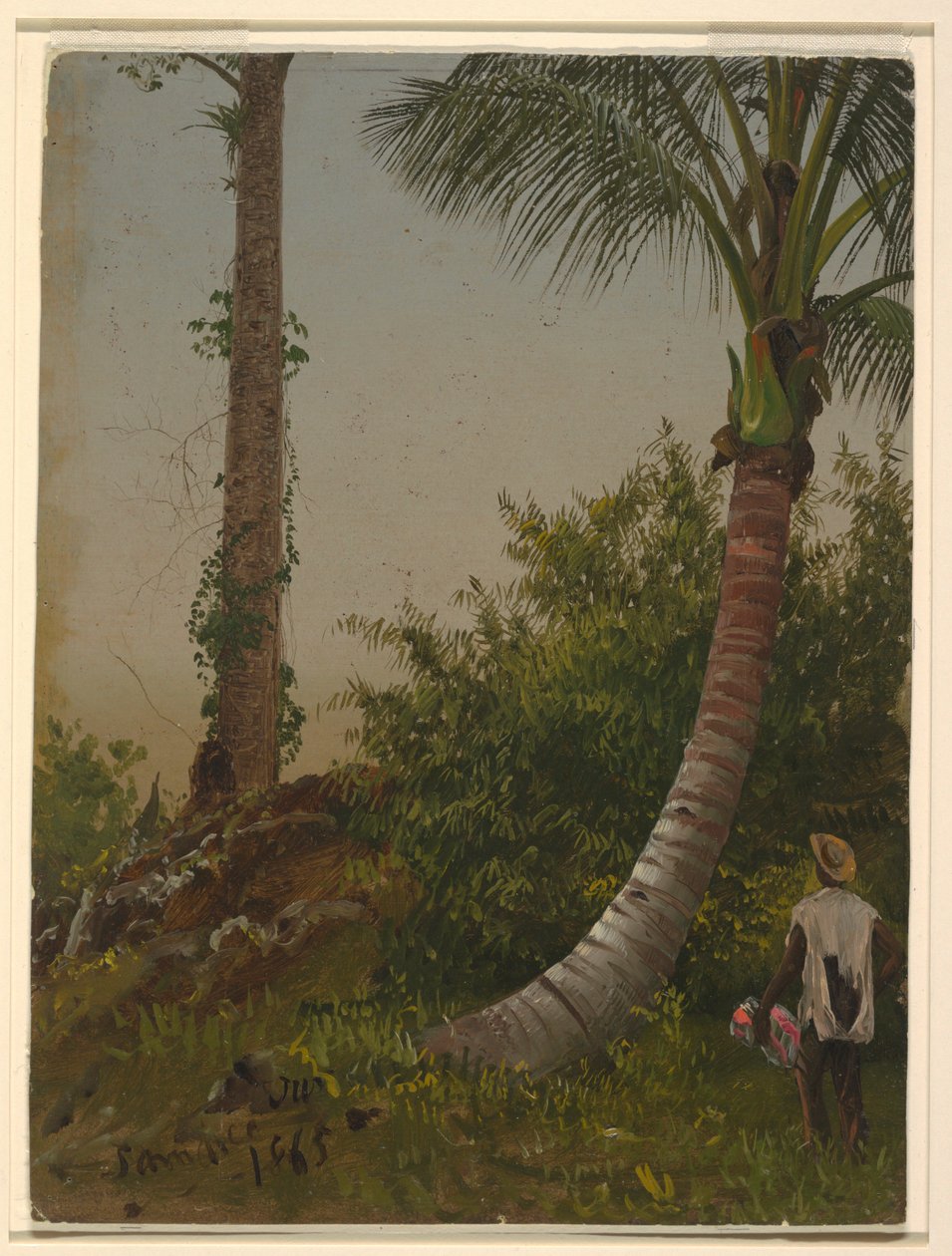 Desenho, Árvores na Jamaica, Índias Ocidentais, 1865 de Frederic Edwin Church