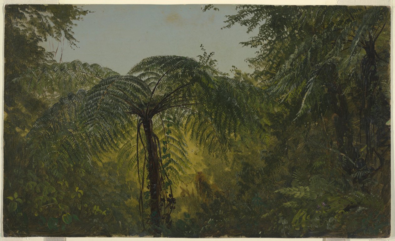 Desenho, Paisagem tropical, junho ou julho de 1865 de Frederic Edwin Church