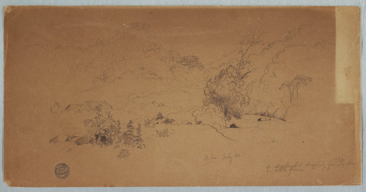 Desenho, Vista de Toche, Colômbia, julho de 1853 de Frederic Edwin Church