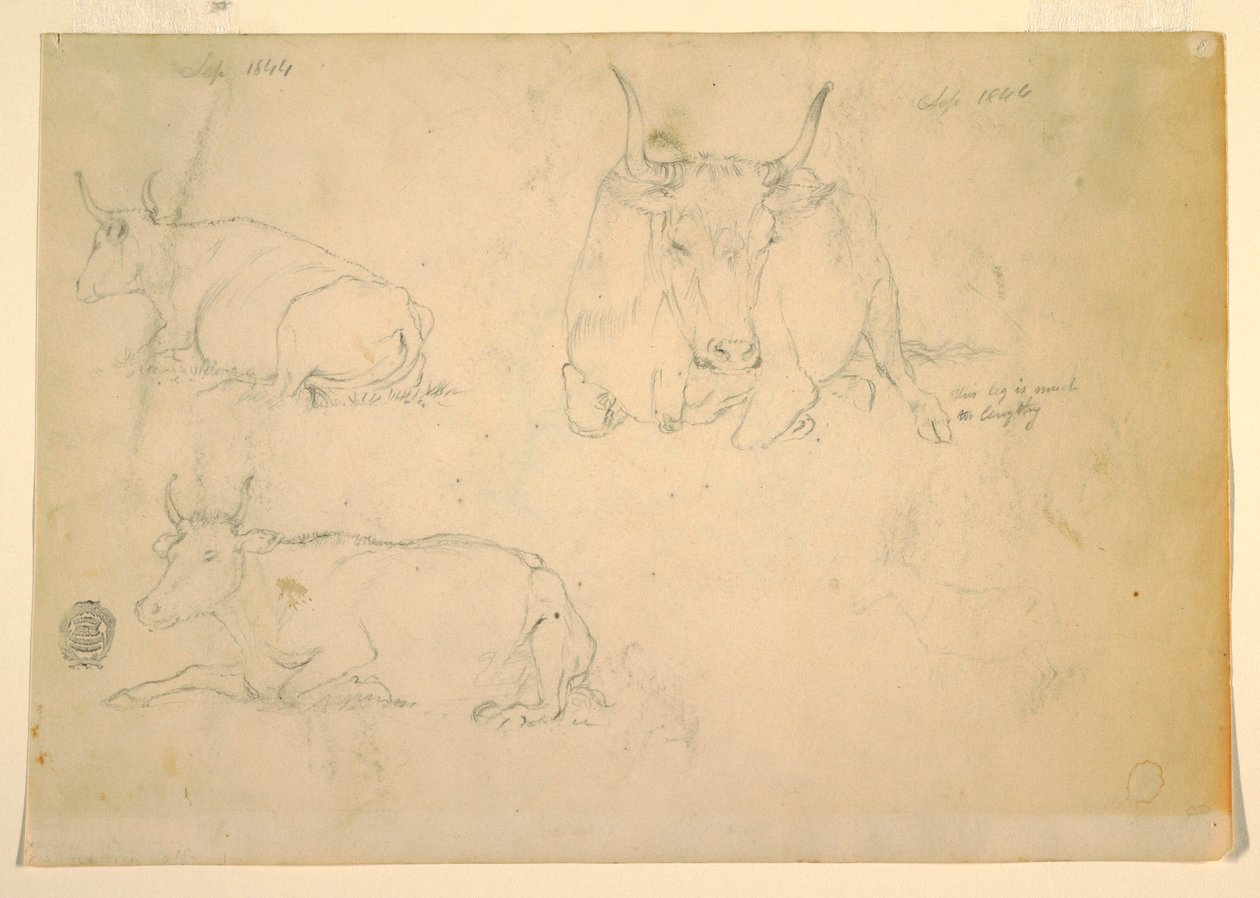 Desenho, Vistas de gado agachado, setembro de 1844 de Frederic Edwin Church