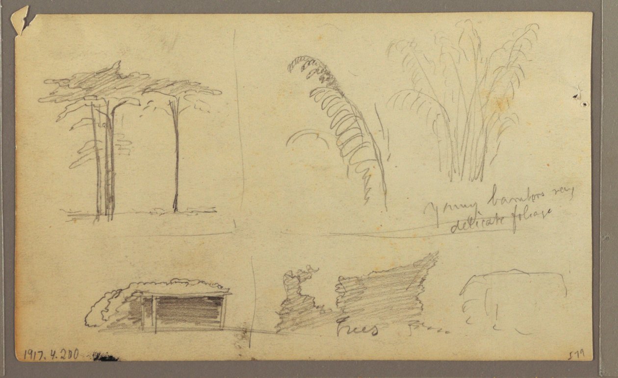 Desenho, Vistas da margem oriental do rio Guayas, em frente a Guayaquil, Equador, maio de 1857 de Frederic Edwin Church