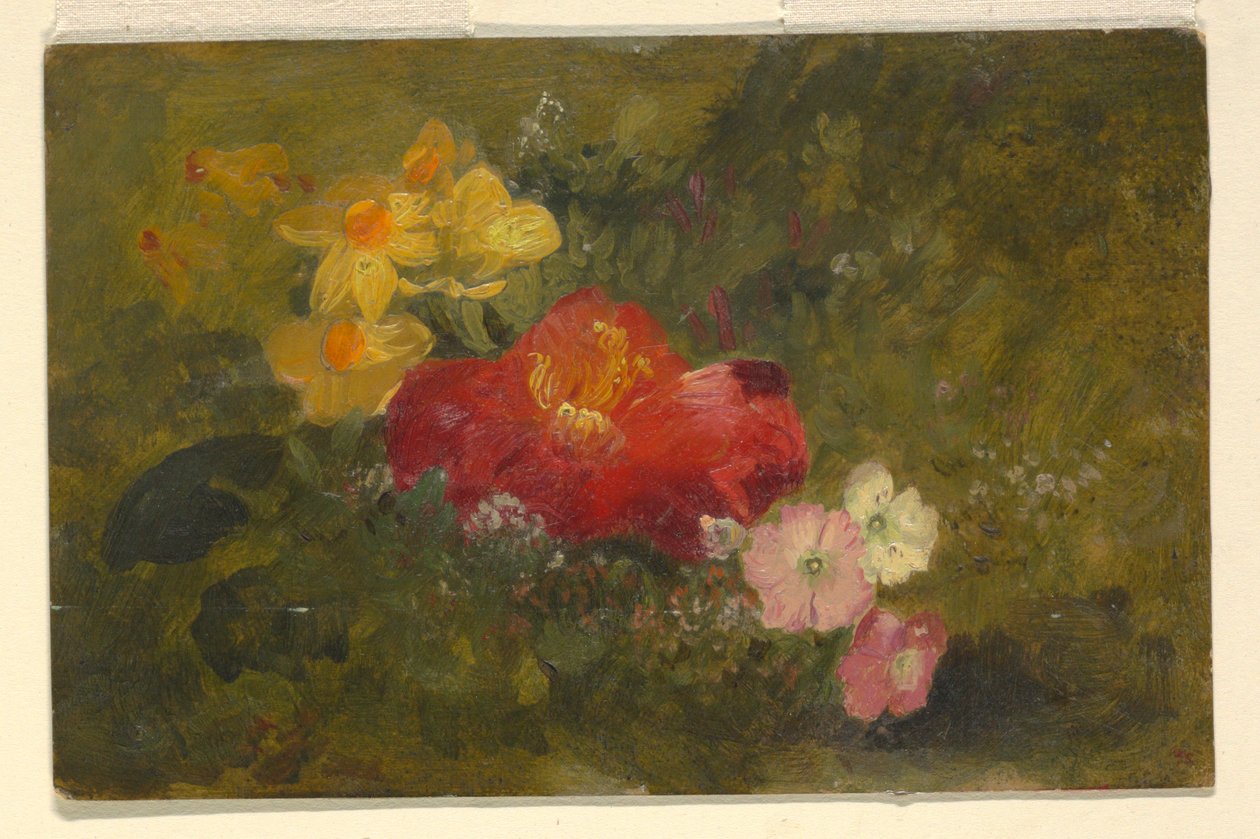 Desenho, Flores silvestres, Jamaica, 1865 de Frederic Edwin Church