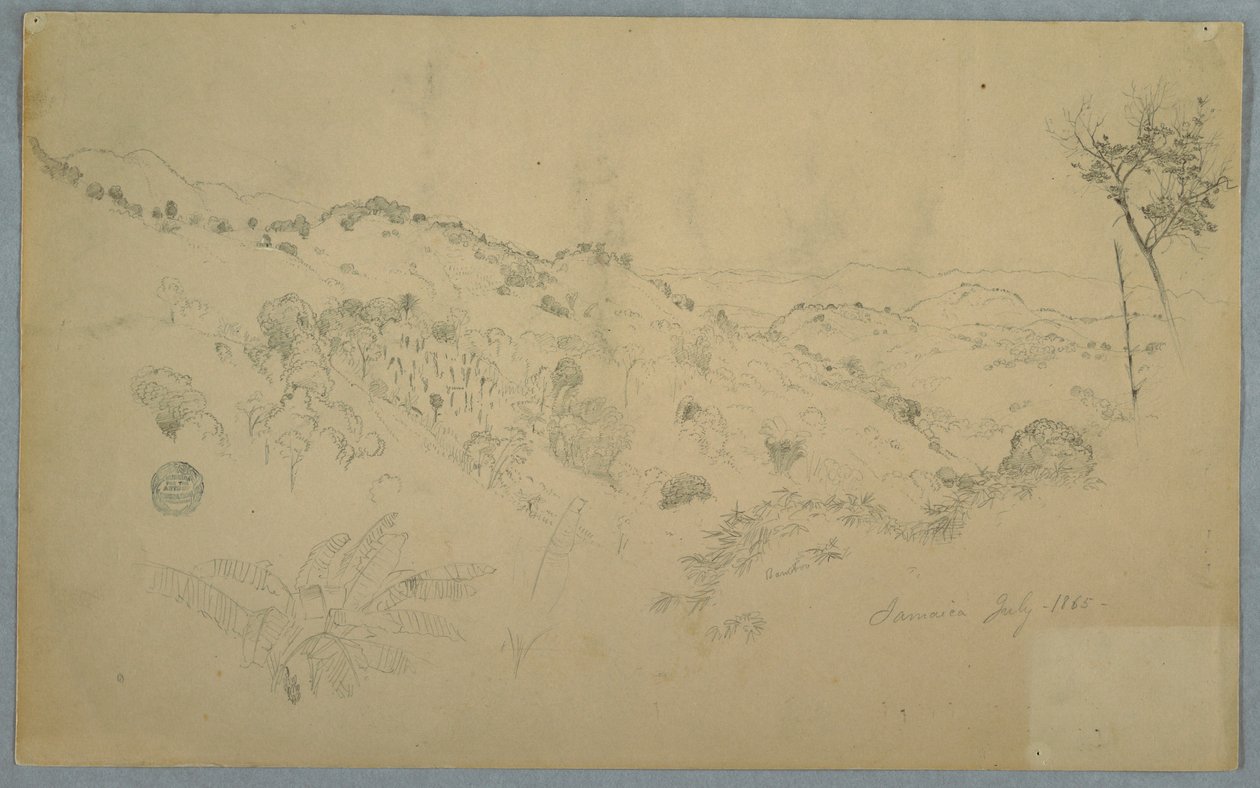 Desenho, vale arborizado com um grande feto e cordilheiras distantes, Jamaica, julho de 1865 de Frederic Edwin Church