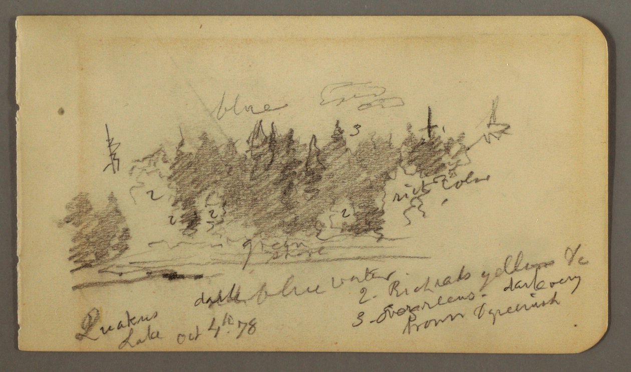 Desenho, Costa arborizada, 1878 de Frederic Edwin Church