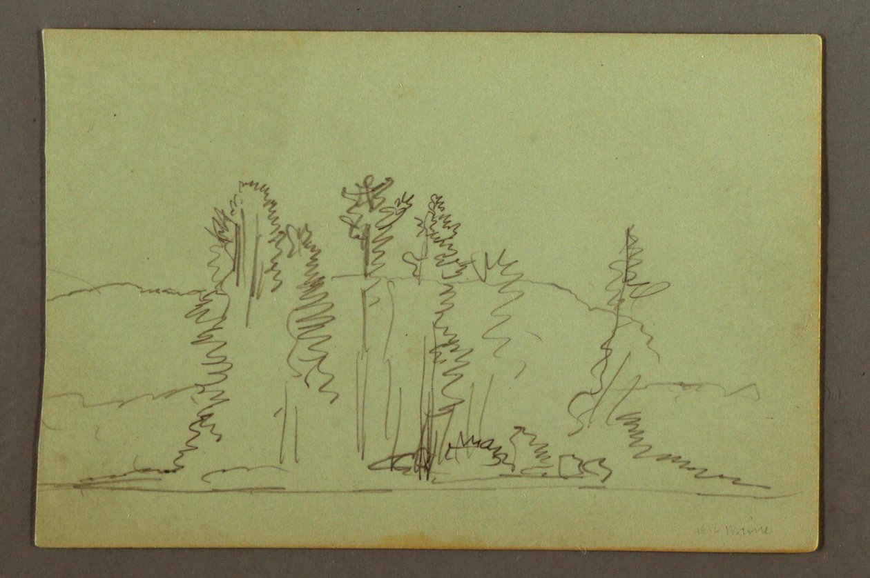 Desenho, Margem arborizada de um lago, possivelmente 1856 de Frederic Edwin Church