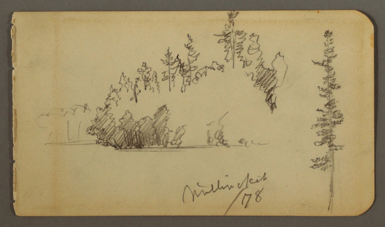 Desenho, Costa arborizada, estudo de árvores, 1878 de Frederic Edwin Church