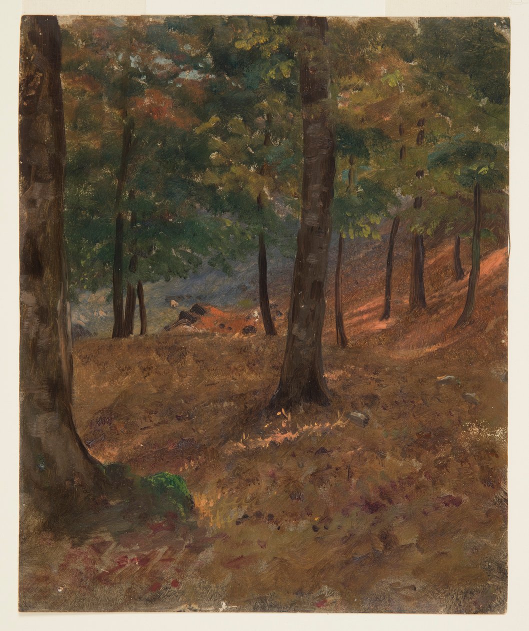 Desenho, Cena de um bosque, 1870-80 de Frederic Edwin Church