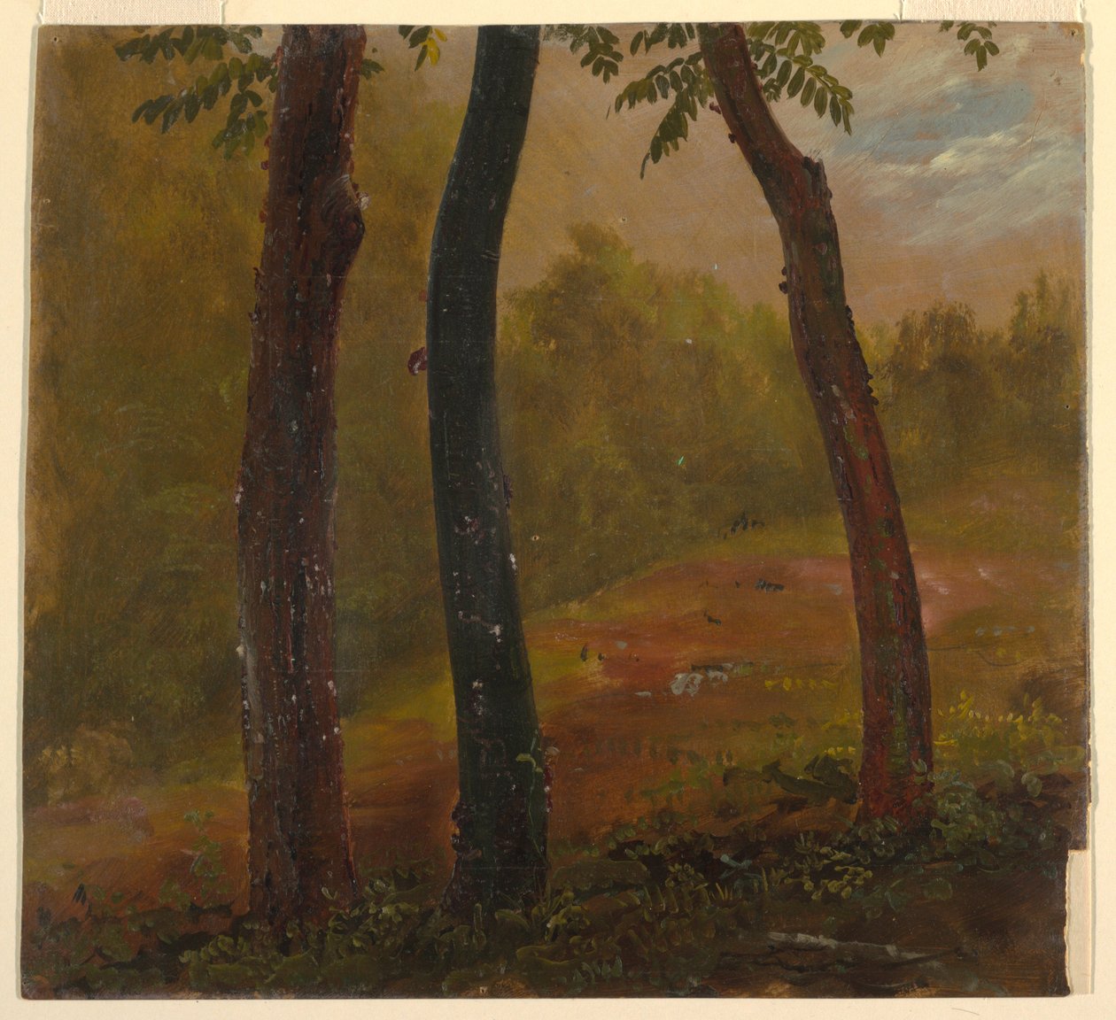 Desenho, Cena de um bosque, Jamaica, 1865 de Frederic Edwin Church