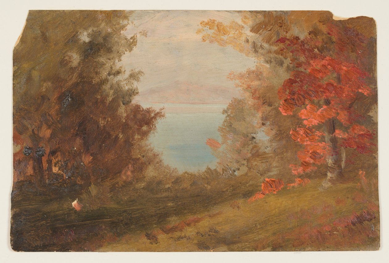 Desenho, Cena de bosque no outono (Hudson, Nova Iorque ou Maine), 1860-70 de Frederic Edwin Church