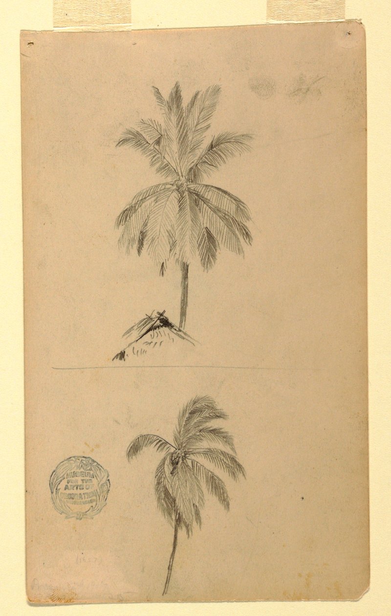 Desenhos. Dois esboços. Palmeiras. de Frederic Edwin Church