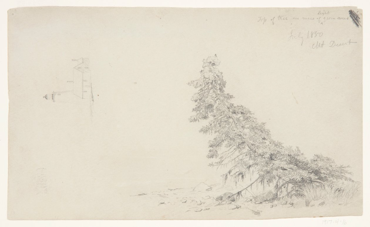 Árvore perene perto da costa com um detalhe do farol e uma casa, Mount Desert, Maine de Frederic Edwin Church