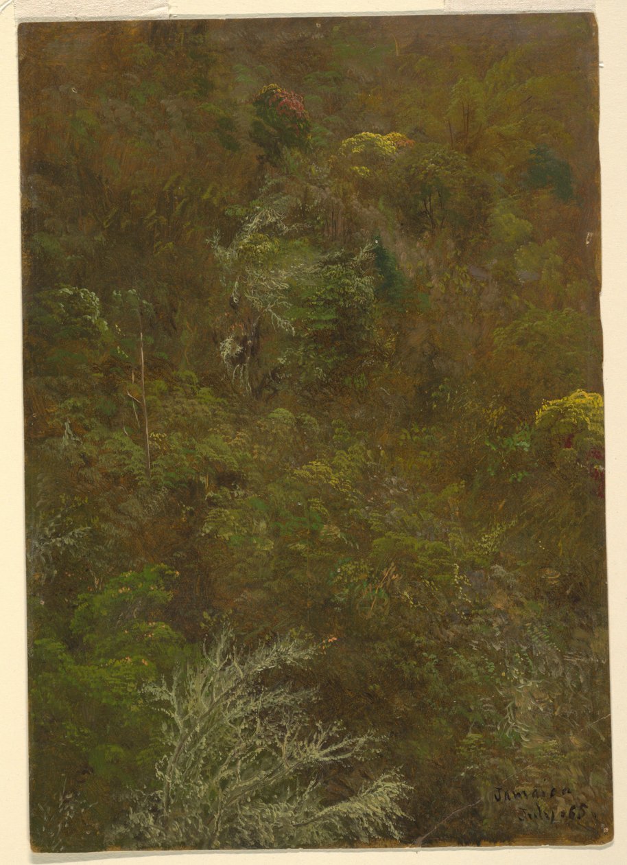 Encosta com árvores, Jamaica de Frederic Edwin Church