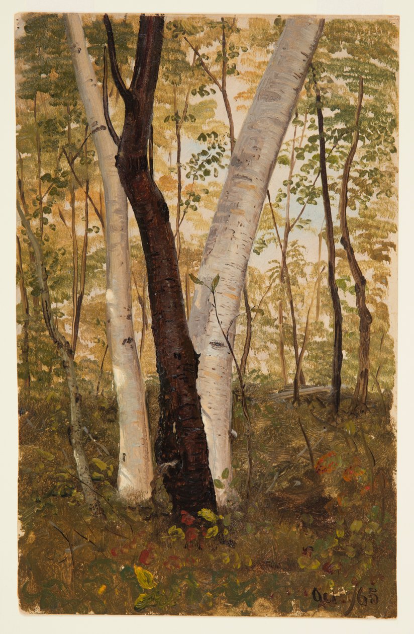 Na floresta, Hudson, Nova York de Frederic Edwin Church