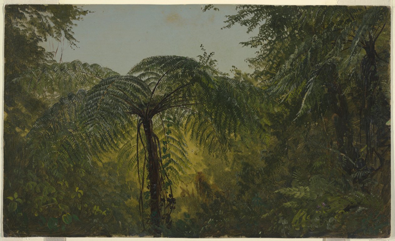Folhagem da selva, Jamaica de Frederic Edwin Church