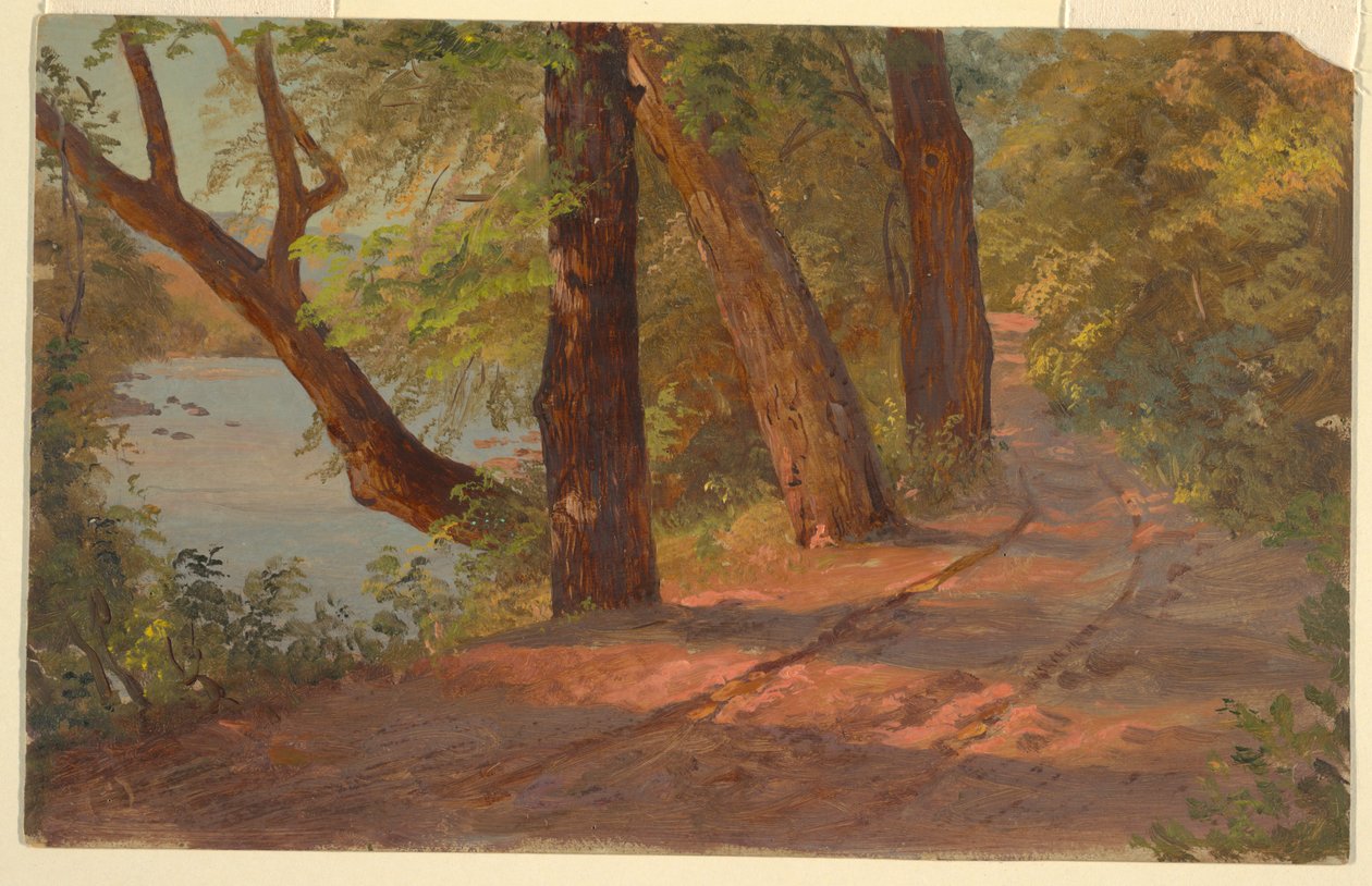 Paisagem da América do Norte (estrada por um lago) de Frederic Edwin Church