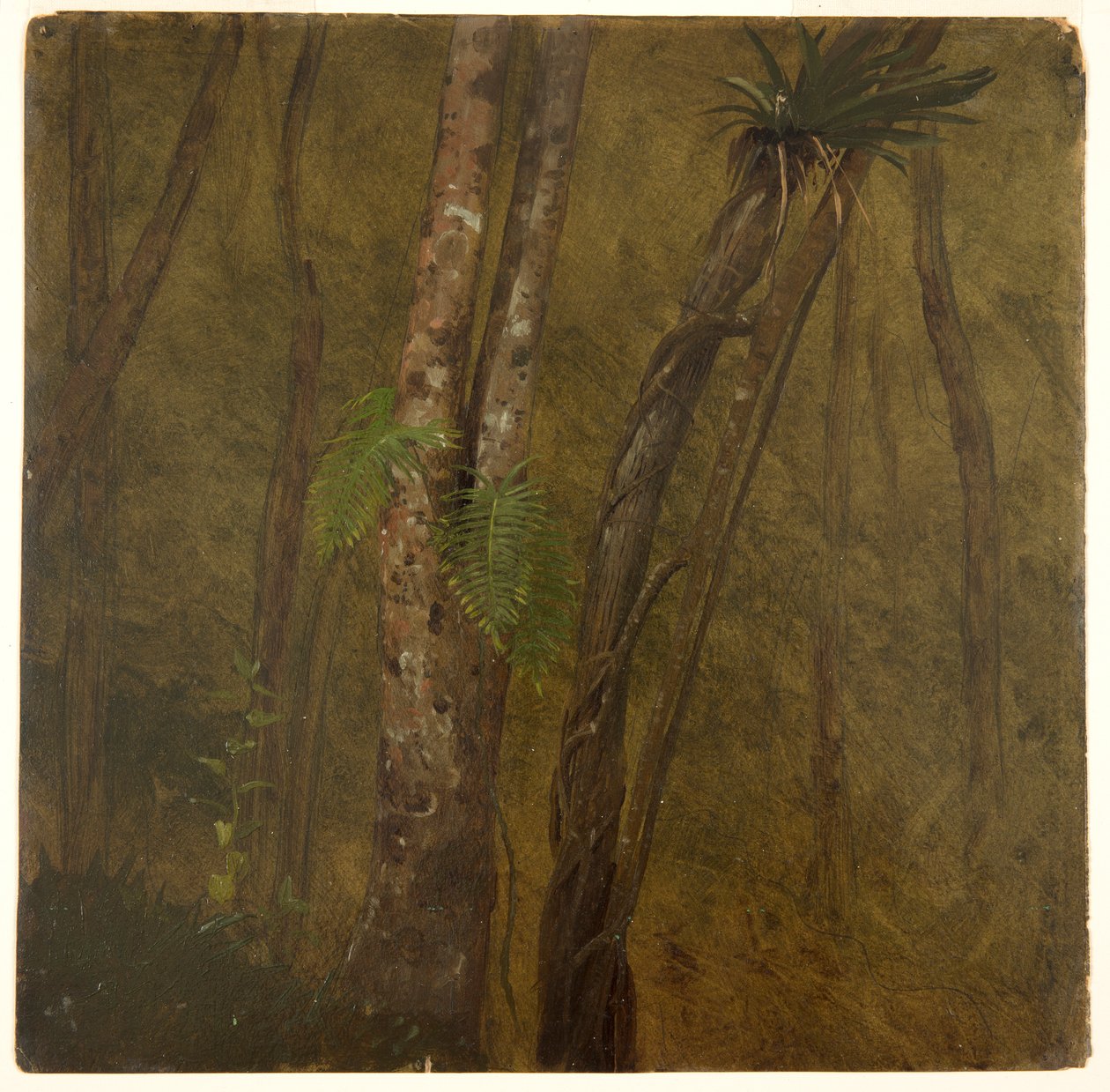 Paisagem na Jamaica de Frederic Edwin Church
