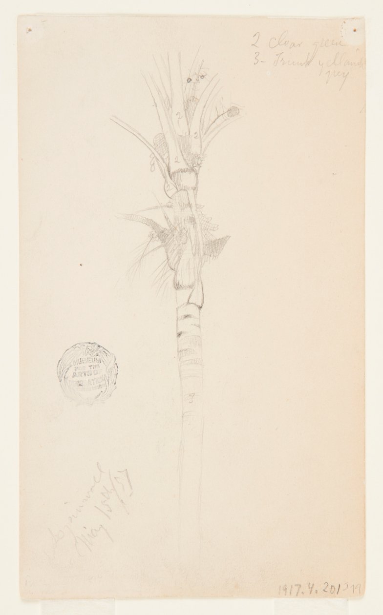 Folhas e caule de uma palmeira, Aspinwall, Panamá de Frederic Edwin Church