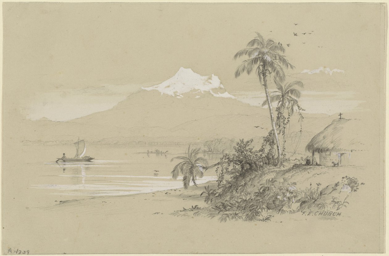 Magdalena River, New Granada, Equador de Frederic Edwin Church