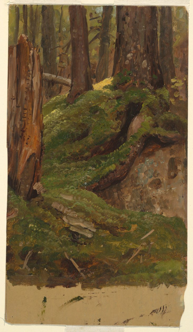 Maine? bosques de Frederic Edwin Church
