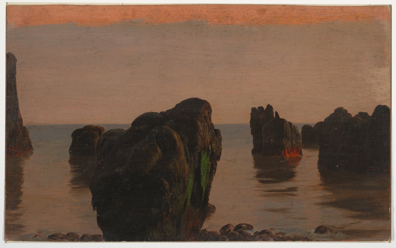 Rochas e musgo de Grand Manan de Frederic Edwin Church