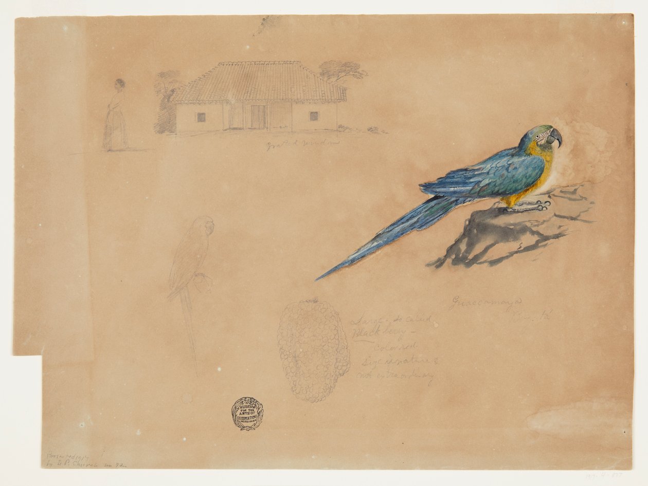 Estudo de Guacamaya, Bogotá, Colômbia de Frederic Edwin Church