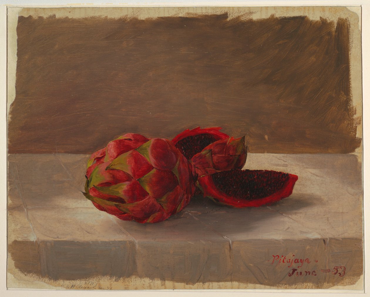 A fruta Pitajaya, Colômbia de Frederic Edwin Church