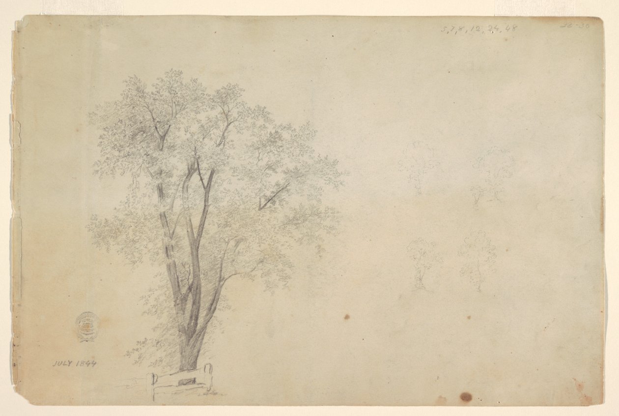 Árvores de Frederic Edwin Church