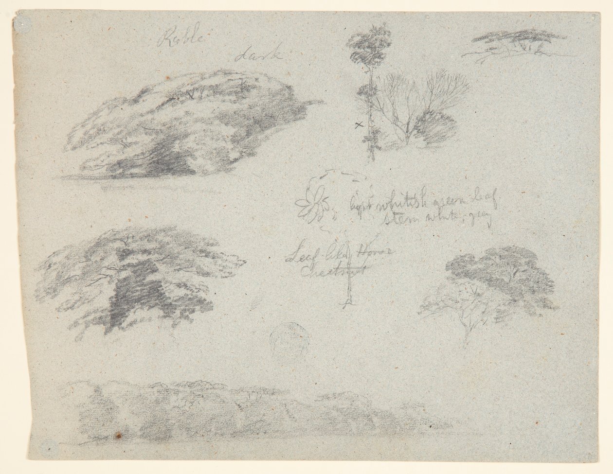 Árvores, copas das árvores e um banco arborizado, Saddleback, Maine de Frederic Edwin Church
