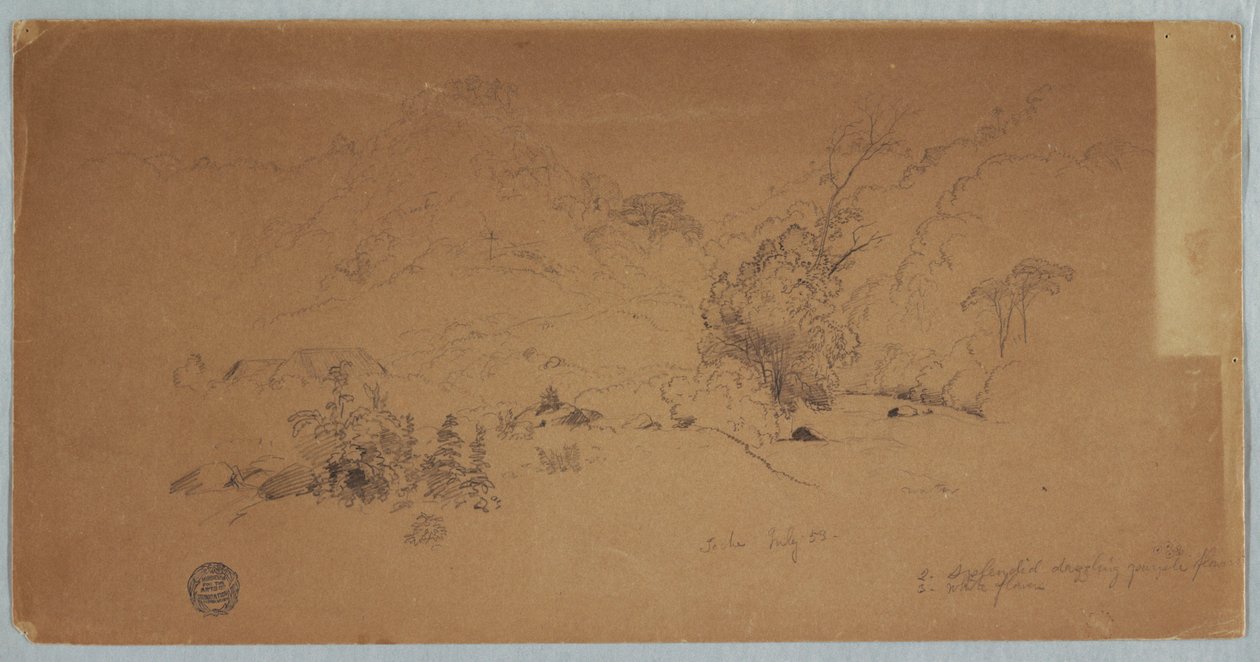 Vista de Toche, Colômbia de Frederic Edwin Church