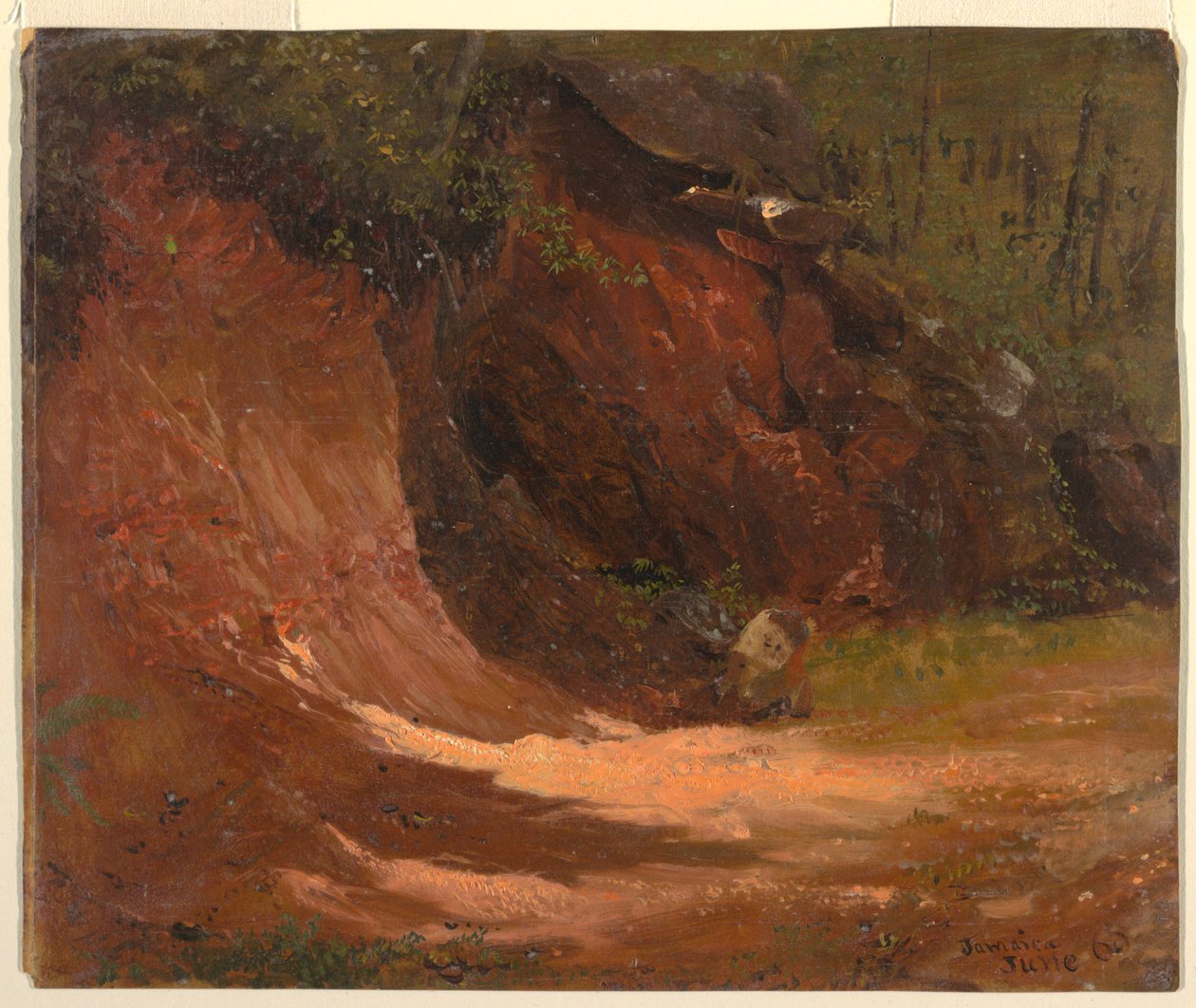 Woodland Bank, Jamaica de Frederic Edwin Church