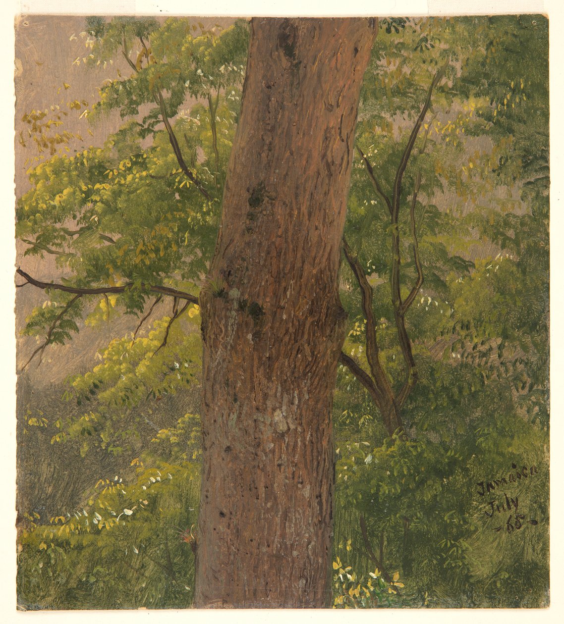 Estudo da Floresta, Jamaica de Frederic Edwin Church