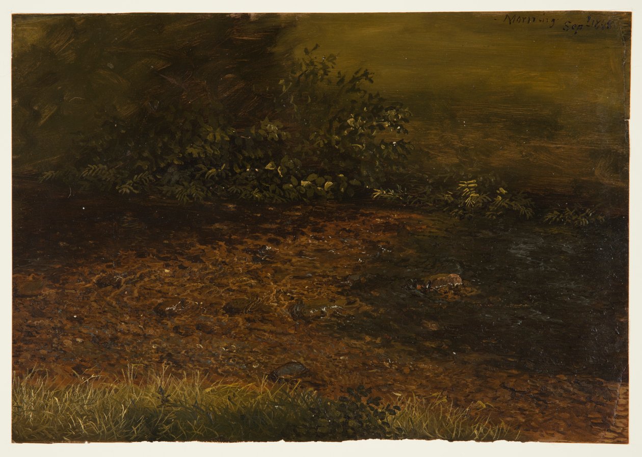 Córrego da floresta em Catskills de Frederic Edwin Church