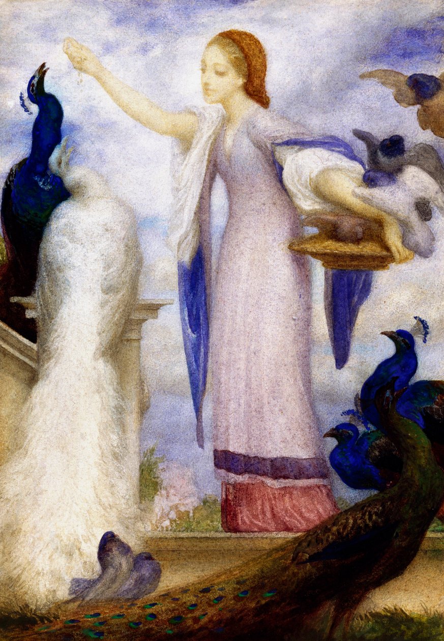 "Jene fille nourrissant les paons" Ela está vestida à moda antiga. Pintura de Lord Frederic Leighton (1830-1896) (pré-rafaelita) de Frederic Leighton