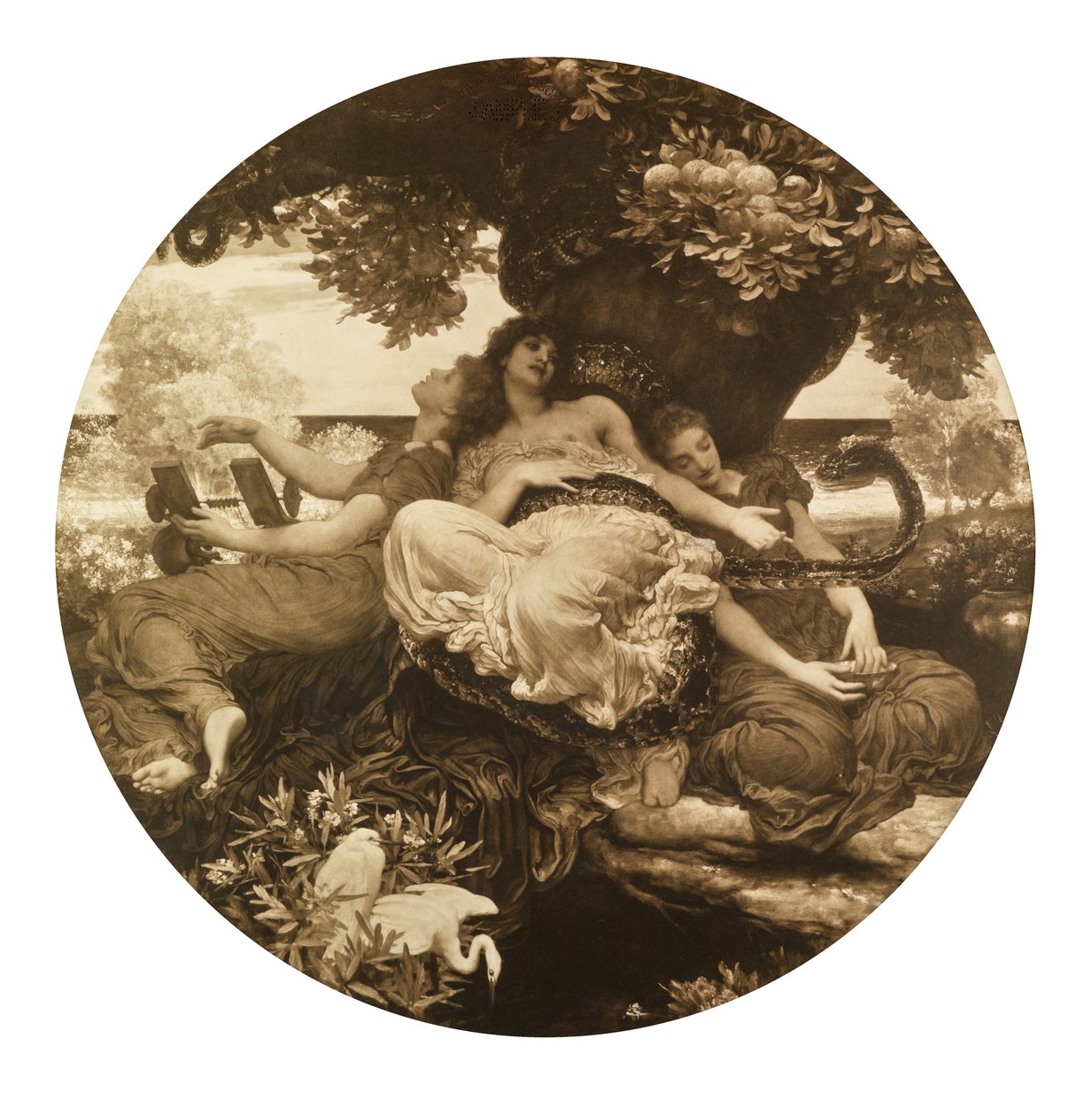 O Jardim das Hespérides (fotogravura) de Frederic Leighton