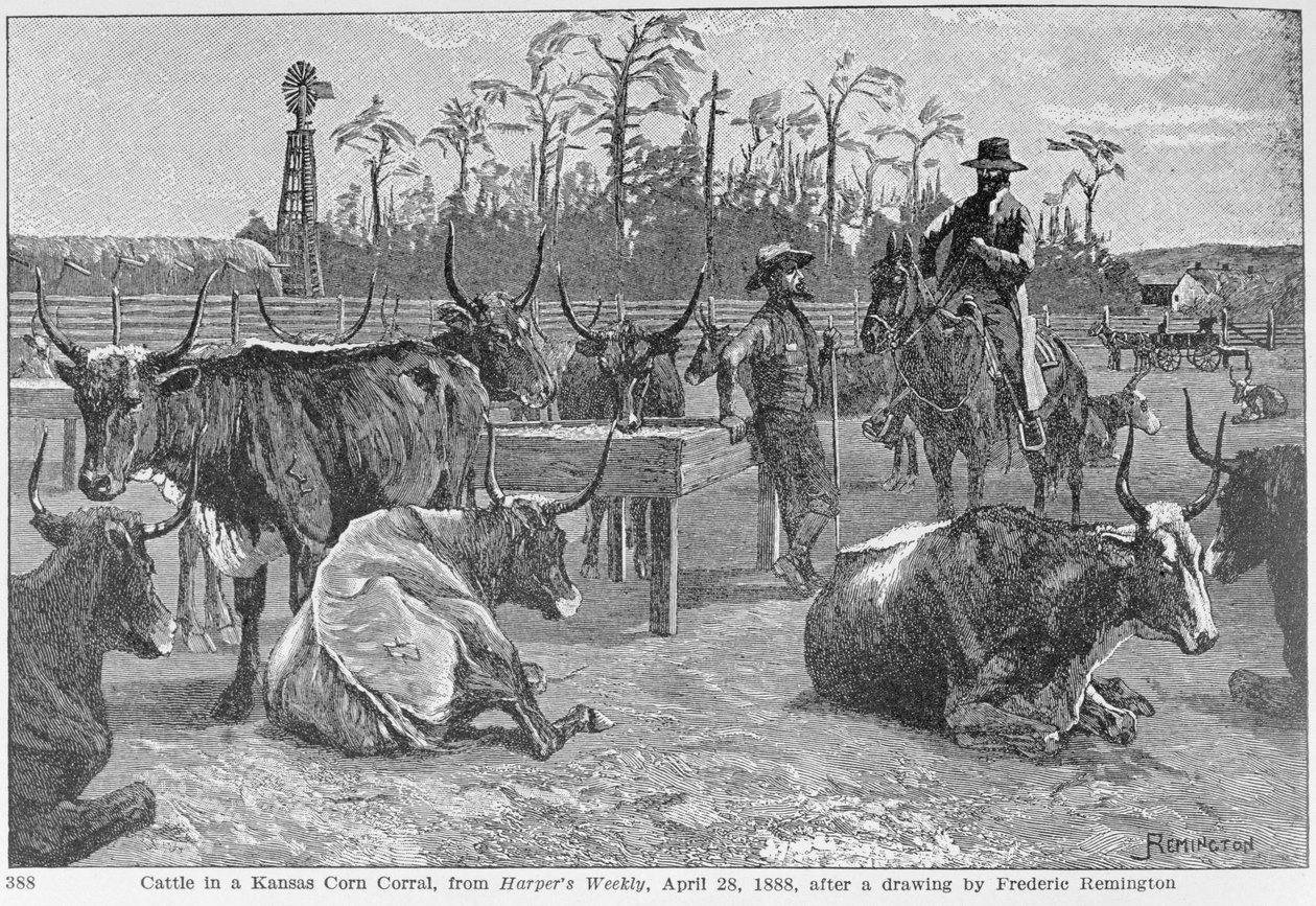 Gado em um curral de milho do Kansas, ilustração de &39;Harper&39;s Weekly&39;, 1888, de &39;The Pageant of America, Vol. 3&39;, por Ralph Henry Gabriel, 1926 (gravura) de Frederic Remington