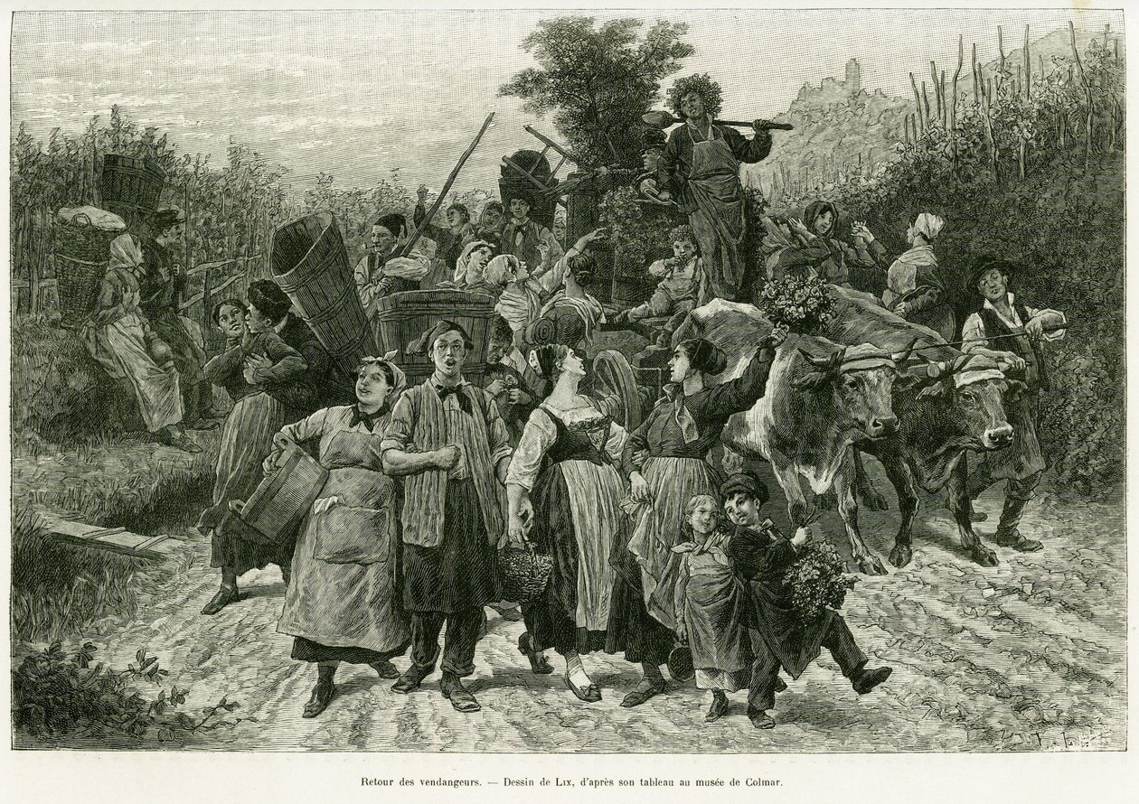 O regresso da colheita. Gravura de Lix, para ilustrar a história A Through Alsace and Lorraine, em 1887, de Charles Grad, deputado alemão, no tour du monde 1888, dirigido por Edouard Charton (1807-1890), Hachette, Paris. de Frederic Theodore Lix