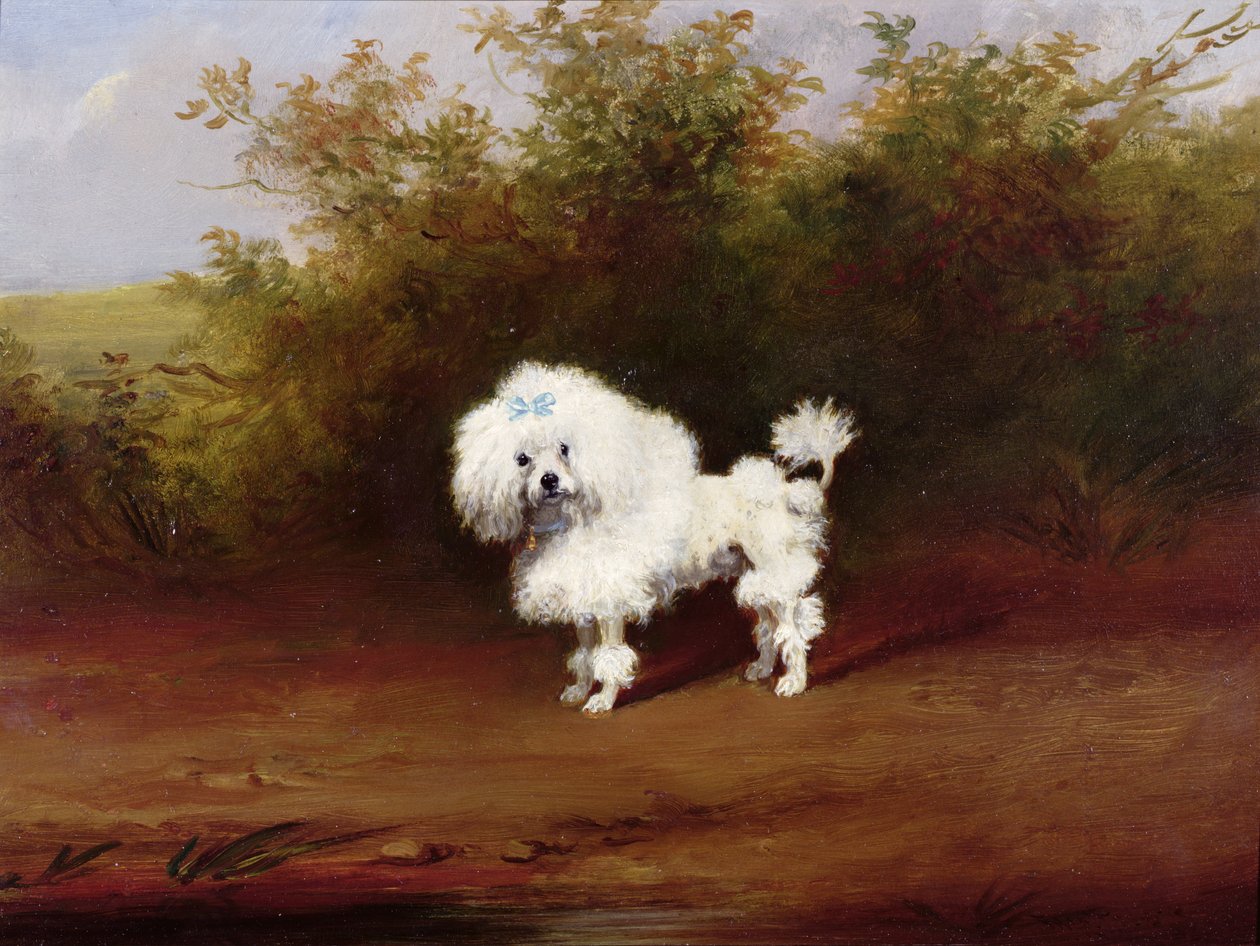 Um poodle toy em uma paisagem (placa) de Frederick French