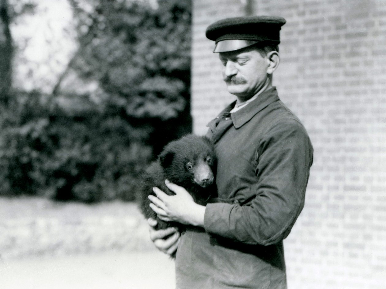 Um Guardião segura um filhote de Urso Preguiça no Zoológico de Londres, agosto de 1921 de Frederick William Bond