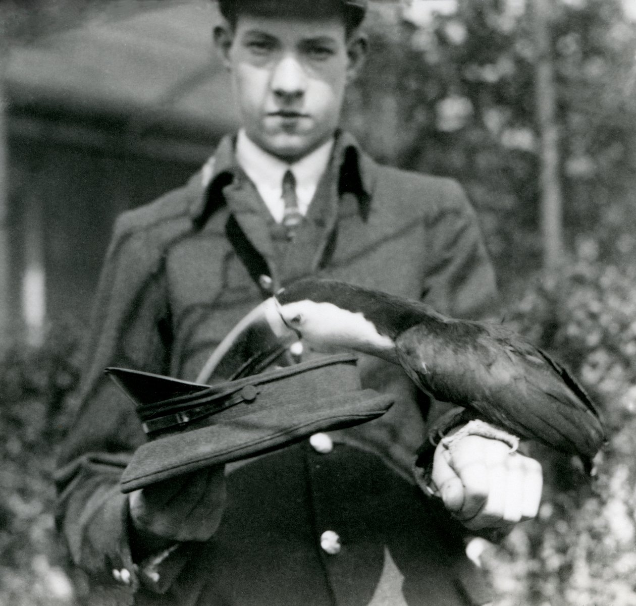 Um Tucano-de-bico-vermelho compra um bilhete de um chapéu, mantido pelo guardião C. Hersey, London Zoo, 1923 (bw photo) de Frederick William Bond