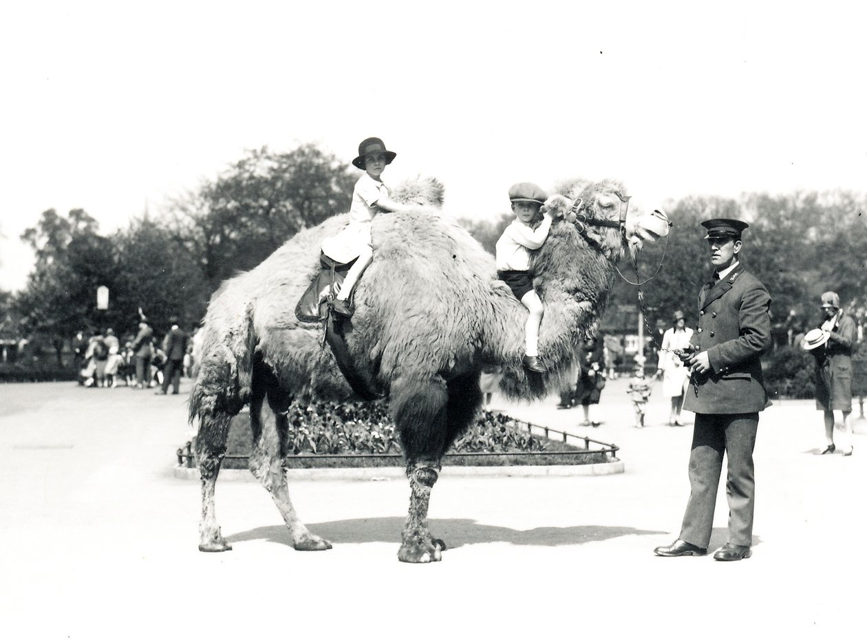 Um passeio de camelo no ZSL London Zoo, em setembro de 1928 de Frederick William Bond